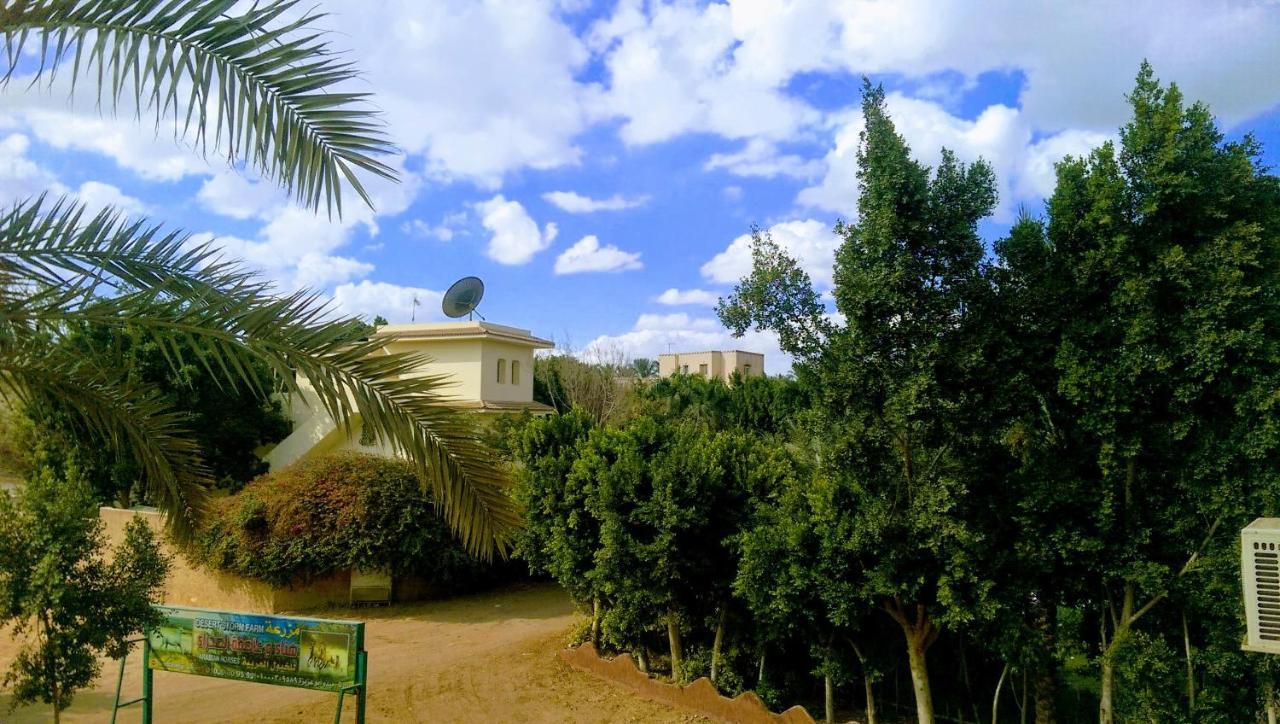 The Farm - Hotel & Horse Riding El El Cairo Exterior foto