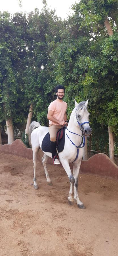 The Farm - Hotel & Horse Riding El El Cairo Exterior foto