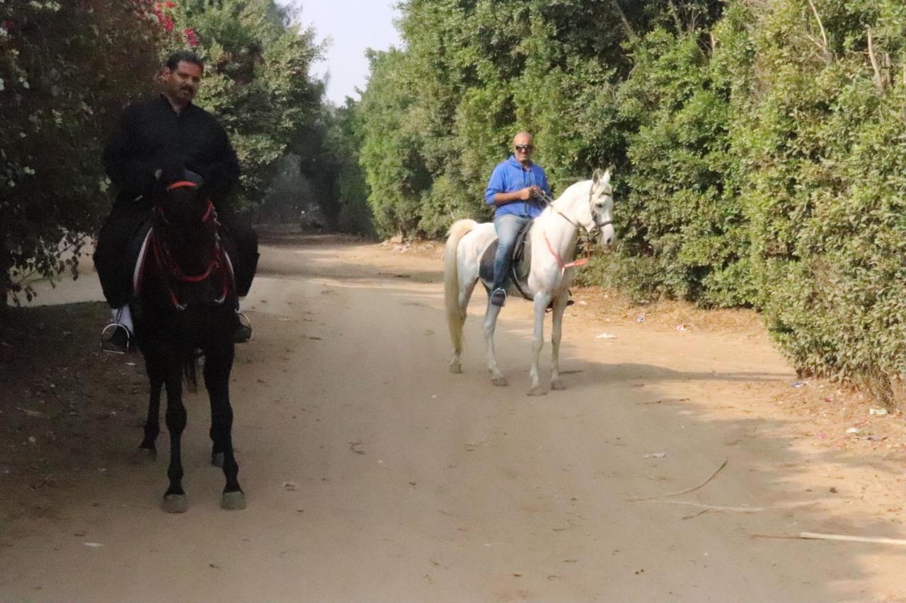 The Farm - Hotel & Horse Riding El El Cairo Exterior foto