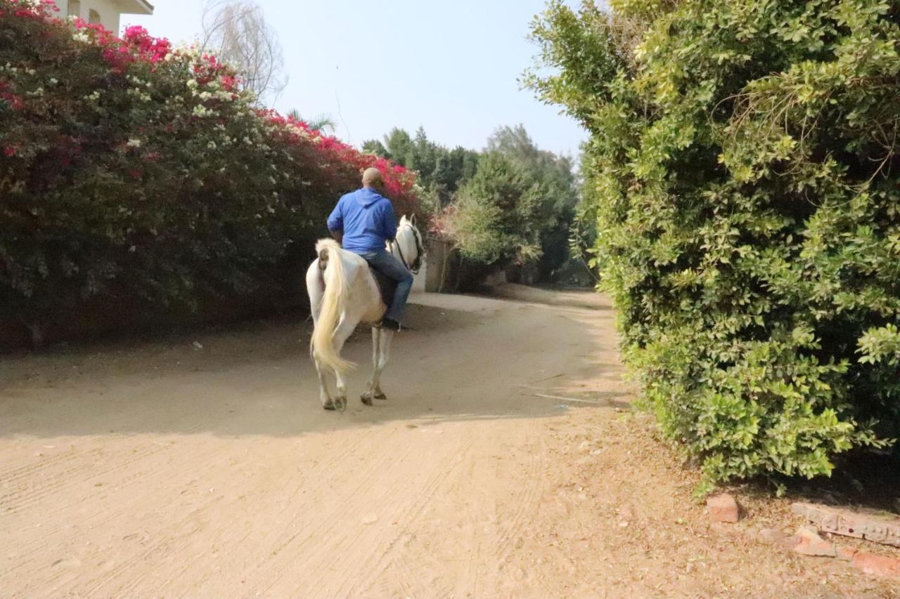 The Farm - Hotel & Horse Riding El El Cairo Exterior foto
